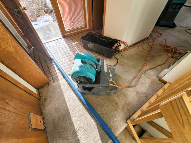 Best Water damage restoration near me  in Pendergrass, GA