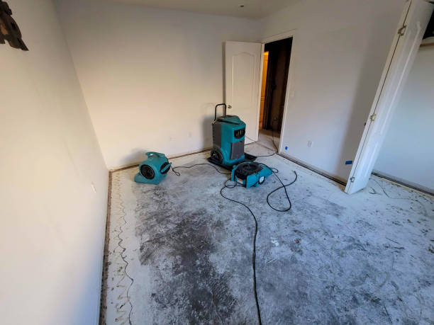 Best Water damage restoration near me  in Pendergrass, GA