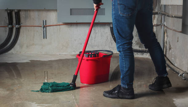 Best 24/7 water damage repair  in Pendergrass, GA