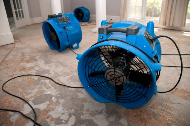 Best Local water damage restoration  in Pendergrass, GA
