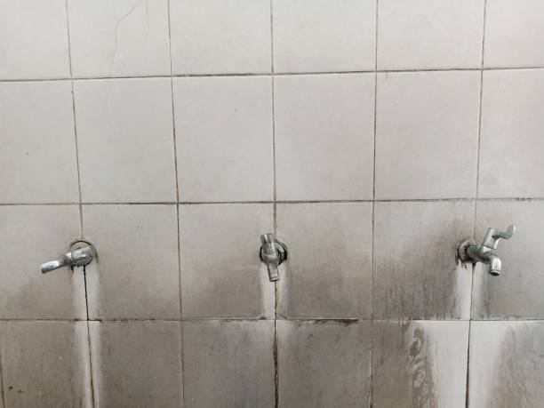 Best Basement water damage restoration  in Pendergrass, GA