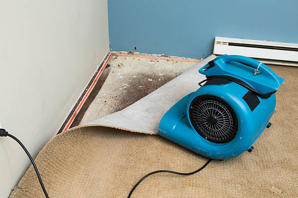 Best Water damage contractors near me  in Pendergrass, GA